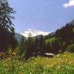 Suisse